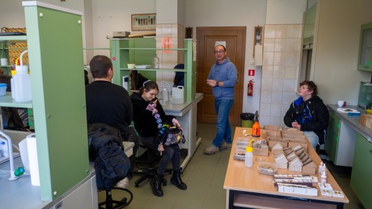 Kliknij, aby powiększyć zdjęcie.